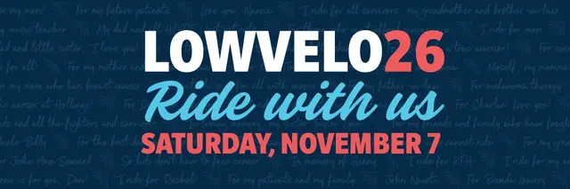 LOWVELO26 logo