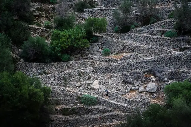 Mallorca by UTMB - Camins de pedra en sec (CPS) logo