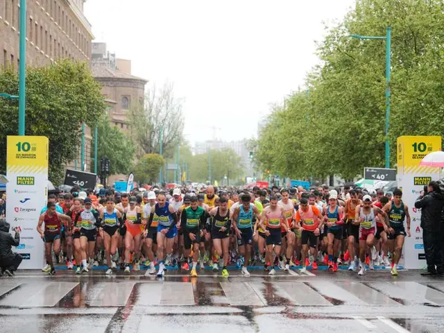 Marathon de Saragosse logo