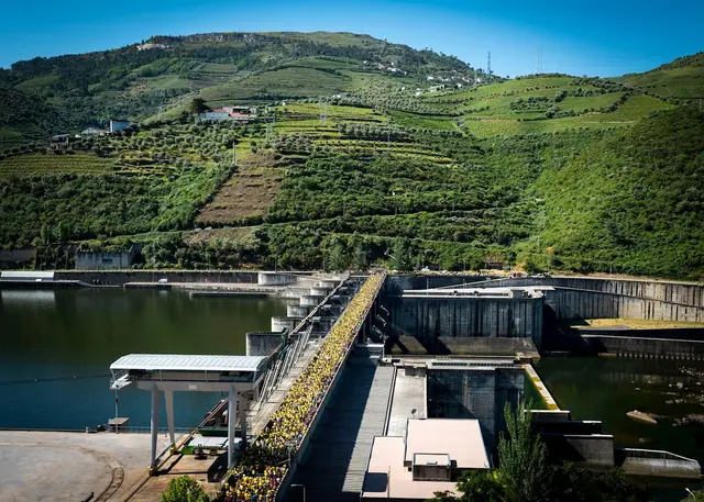 Meia Maratona do Douro Vinhateiro logo