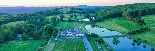 Millbrook Vineyards Wine Run 5k logo