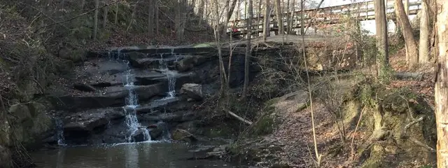Millstone Trail Races logo