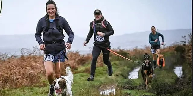 MINI CANI-TRAIL logo