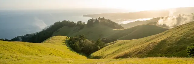 Miwok 100K Trail Race presented by The North Face logo