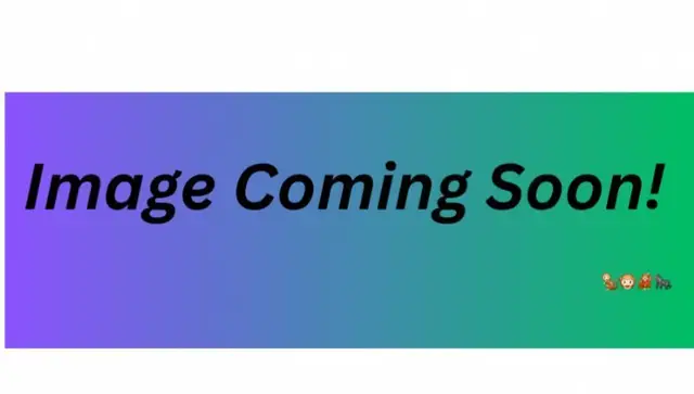 Mizaru Challenge Day 1 logo