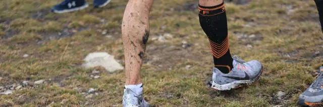 Muddy Shamrock @ The Forge logo