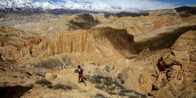 Mustang Trail Race logo