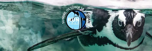Mystic Aquarium's Run Walk for Penguins logo