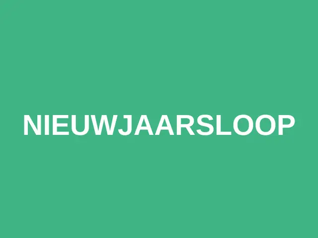 Nieuwjaarsloop logo