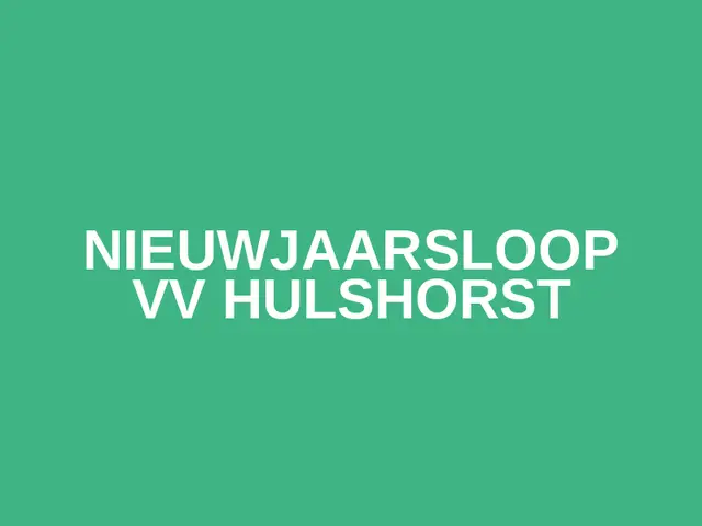 Nieuwjaarsloop VV Hulshorst logo