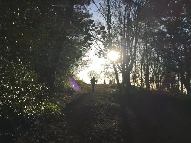 North Downs Way Ultra Run (30 miles) logo