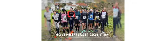 Novemberflåset logo
