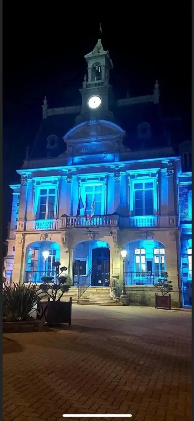 Novembre Bleu 2026 logo
