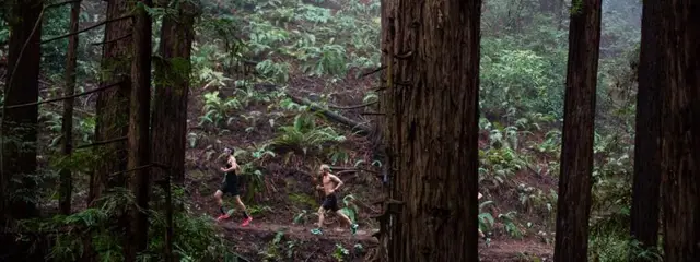 Oakland Hills Trail Run logo