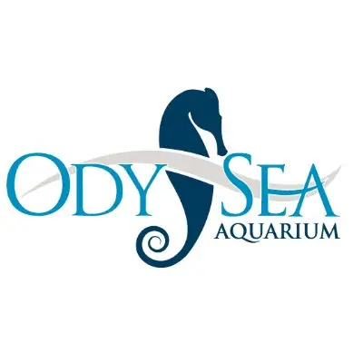 OdySea "Aquari-RUN" 5K logo