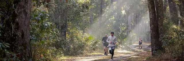 Palmetto Bluff Buffalo Run 10K, 30K, 50K Ultra and Relay logo