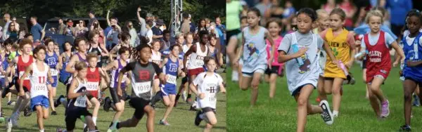 Pedro Schools XC Champs logo