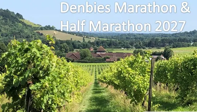 PHOENIX - Denbies Marathon & Half Marathon 2027 logo