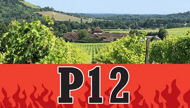 PHOENIX - P12 - The Longest Attended Day 2027 logo