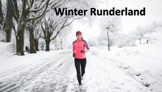 PHOENIX - Winter Runderland 2026 logo