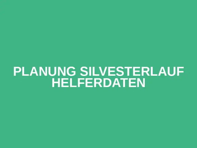 Planung Silvesterlauf Helferdaten logo