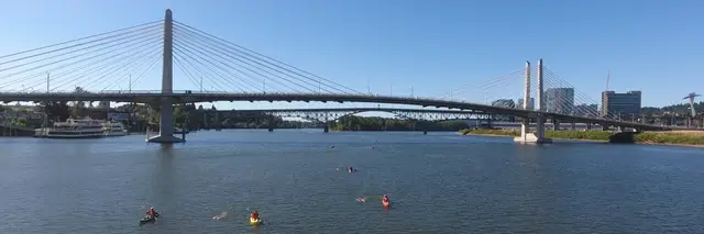 Portland Bridge Swim logo