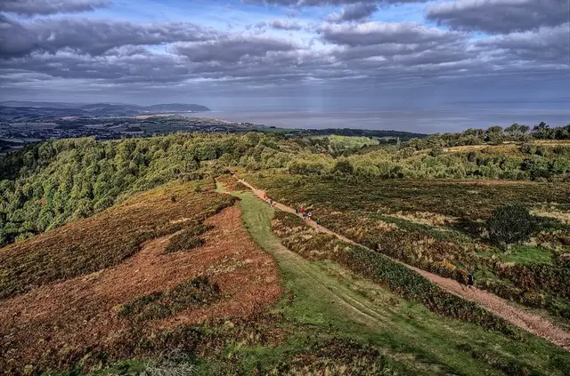 Quantock Hills Trail Half Marathon! logo