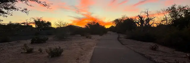 QUEEN CREEK DESERT WASH | HALF • 10K • 5K | logo