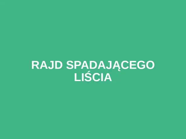 Rajd Spadającego Liścia logo
