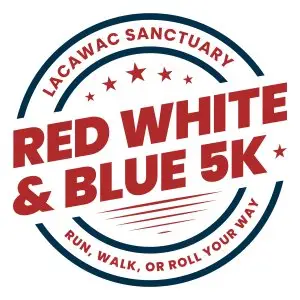 2nd Annual Red, White & Blue 5k logo