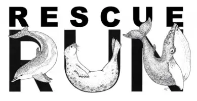 Rescue Run: Race for Marine Mammals logo