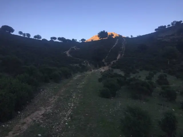 Restonica Trail by UTMB - PM50K logo