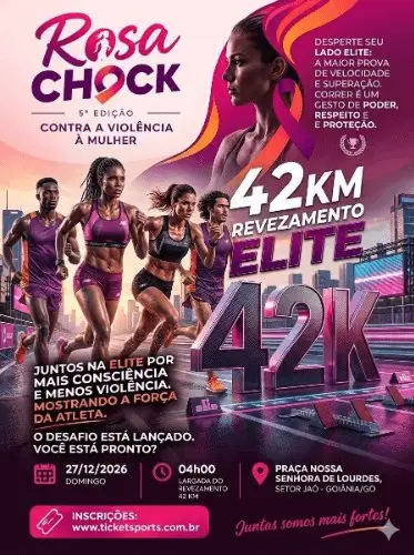 ROSA CHOCK - ETAPA VIOLÊNCIA CONTRA A MULHER logo