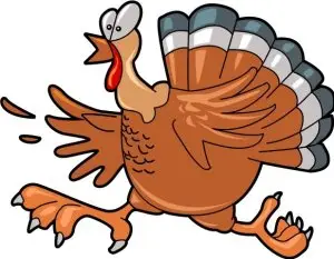 RRRC 49th Annual Turkey Trot 10k & 5k, presented by Wegmans logo