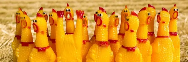 Run Like a Rubber Clucker logo