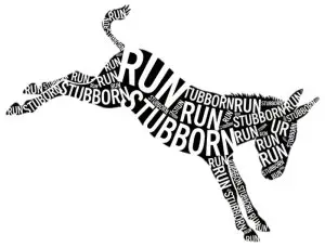Run Stubborn 25k and 50k logo
