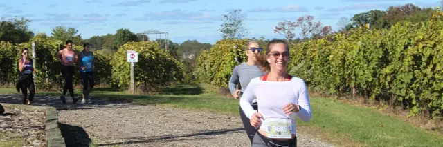 Run the Vineyards - Laurita 5K logo
