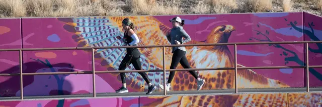 RunAround Tucson Relay p/b Tucson Medical Center logo