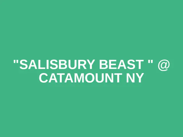 "Salisbury Beast " @ Catamount NY logo