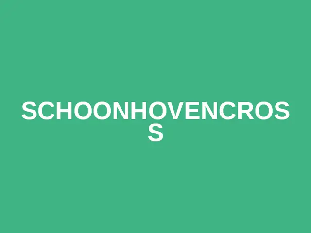 Schoonhovencross logo