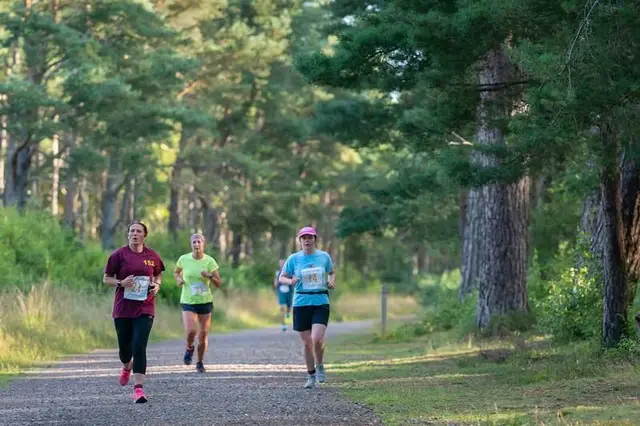 Scurry Around Tentsmuir Forest Trail Running Festival logo