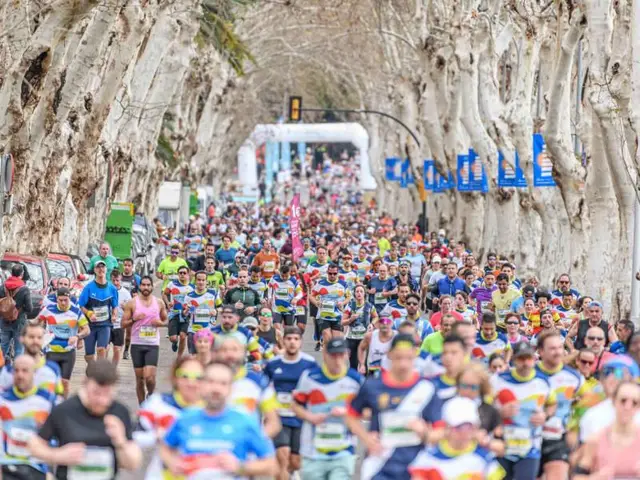 Semi-Marathon de Malaga (TotalEnergies) logo