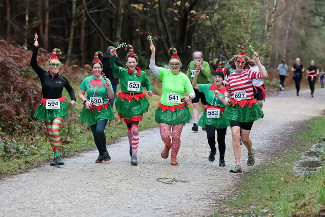Sherwood Christmas 10k & 5k logo