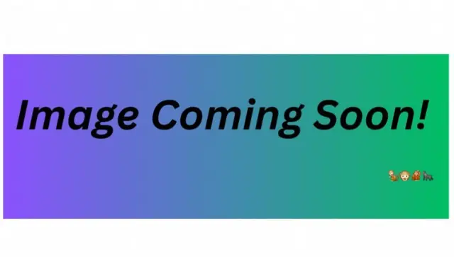 Shizaru Challenge Day 2 logo