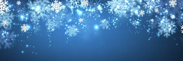 Snowflake Shuffle logo