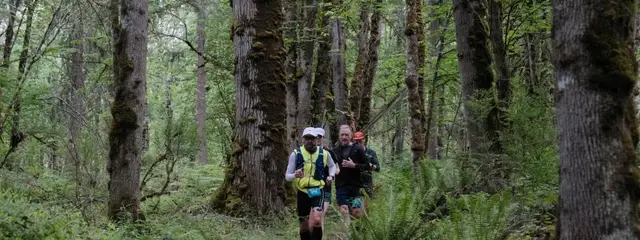 Soaring Eagle Trail Run logo
