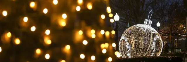 Southern Lights Stroll 5K logo