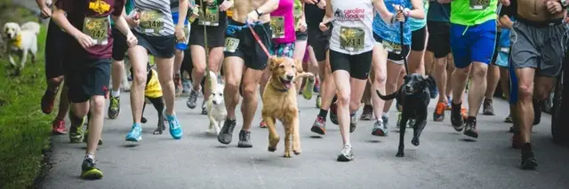 SPIRIT of '76 PATRIOT 5K RUN / WALK / RUCK logo