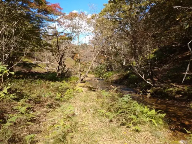 13th Sanson Toshi Koryu no Mori Hanase Trail Run (第13回 山村都市交流の森 花背トレイルラン) logo