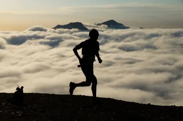 Kumano Kodo Trail Running Race KUMANO OLD TRAILS 2026 (12th) (熊野古道トレイルランニングレース KUMANO OLD TRAILS 2026【第12回】) logo
